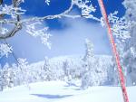 2007 Skiing inJapan 4